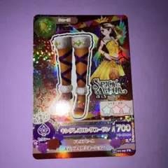 アイカツ スパイシーアクア PRカード キングレオロングブーサン