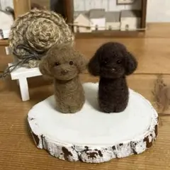羊毛フェルト 寝そべり トイプードル ミニチュア 癒し - メルカリ