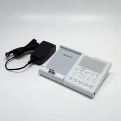 2026年最新】sony rdp-nwd300の人気アイテム - メルカリ