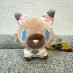 2026年最新】ポケモンドールズ イワンコの人気アイテム - メルカリ