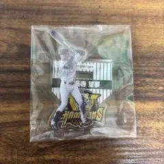 阪神タイガース 優勝記念 アクリルスタンド 高寺望夢