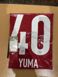 2016 鹿島アントラーズ 鈴木優磨 34番 レプリカユニフォーム - メルカリ