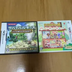 ニンテンドーDS 3DS ソフト　2点セット　どう森　サバイバルキッズ