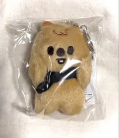 2026年最新】skzoo キーリング マグネットの人気アイテム - メルカリ