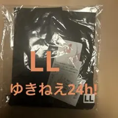 Item thumbnail for item eedb8ace-224b-497f-9268-7e350dcf531d