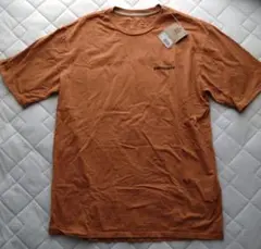 Item thumbnail for item 913c3c63-2d86-455c-b5d2-6eefef702194