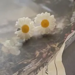 Item thumbnail for item 13535140-b103-4861-9b8a-bceeb090593a