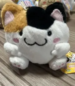 平成レトロ　まるねこくらぶ　猫　ネコ　スイーツ 製品紹介：まるねこCLUB