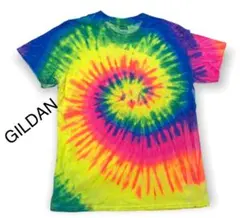 GILDAN タイダイ US 古着 Tシャツ Lサイズ メンズ HAITI製