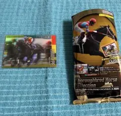 サラブレッドコレクション