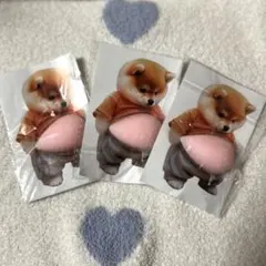 柴犬 お腹 ぷにぷにシール 3枚セット