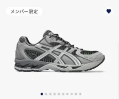 asics GEL-NIMBUS 10.1 アシックス　ゲルニンバス 24cm