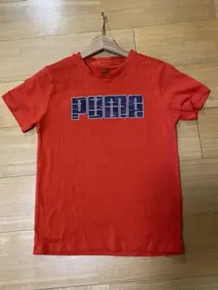 Item thumbnail for item 88458cf2-2b1a-4406-b9dd-c87650ce9a4d