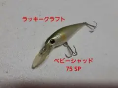 2026年最新】ベビーシャッドの人気アイテム - メルカリ