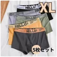 ボクサーパンツ XL ボクサーブリーフ 5枚セット 下着 通気性 速乾 メンズ