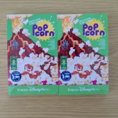 ポップコーン メモ帳 2冊 東京ディズニーランド パークフード チップ＆デール