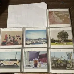 SaucyDog CD 7枚セット