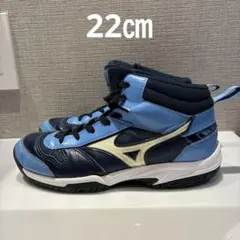 Item thumbnail for item 8cfe81a5-7acc-4ba4-8b7f-3fb15722177a