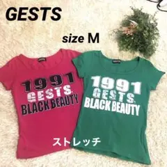 GESTS 半袖ストレッチTシャツ 2枚セット エアロビクス　ダンスのサムネイル