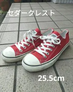 25.5cm スニーカー