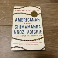 Americanah by Chimamanda Ngozi Adichie