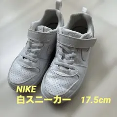 Item thumbnail for item 94e4e567-3697-45a6-a1ee-fb9d6c460ce2