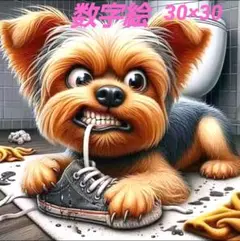 数字絵キット　ペイントバイナンバー　30×30