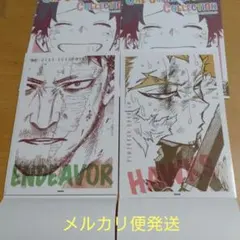 ヒロアカ原画展 ワンシーンカードコレクション ホークス エンデヴァー