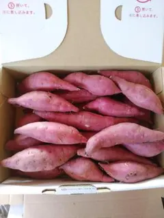 小さめ紅はるかゆうパケット便