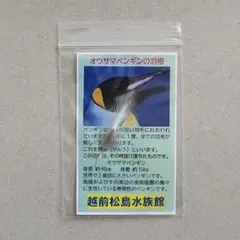 Item thumbnail for item 6261cc8b-82fb-4162-bda4-8c69b1fcdb7f