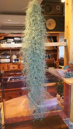 ふくたろう様専用ページです‼️