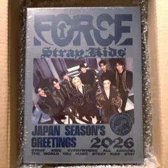 Stray Kids　シーグリ　FORCE　未開封