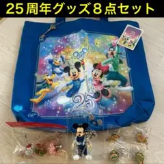 東京ディズニーリゾート25周年 トートバッグ他 グッズ計8点セット➕おまけ付き