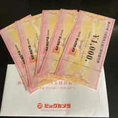 ビックカメラ株主優待券