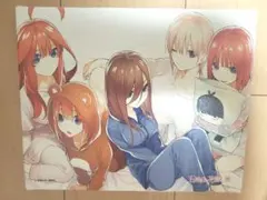 五等分の花嫁展 キャンパスボード