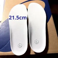 インソール未使用！ asics アシックス スクスクプレスクール21.5 cm