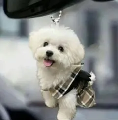 Item thumbnail for item 6470b128-7ebb-42f4-94c5-3b258d7aab2c