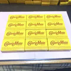 【超お得！】大塚製薬 カロリーメイト ブロック チョコレート味　12箱セットのサムネイル