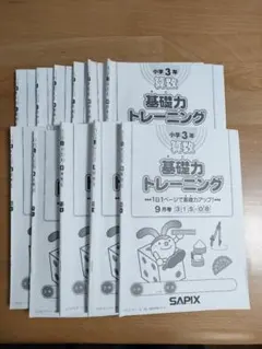 2026年最新】sapixの人気アイテム - メルカリ