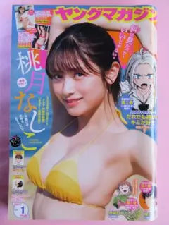 tommer様 リクエスト 2点 まとめ商品