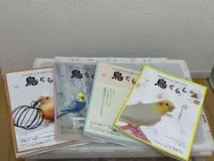 Item thumbnail for item e6572732-e24a-475e-8c1d-411cc9b07c4e