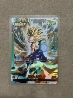 ドラゴンボールカードゲーム覚醒の鼓動 孫悟飯 少年期リーダーパラレル