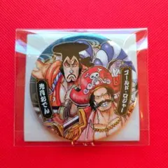 ❤大特価❤　限定 ジャンプフェスタ 2021 コレクション 缶バッジ ワンピース