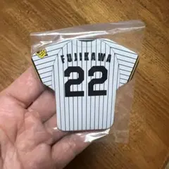 群馬クレインサンダーズ ユニフォームステッカー #29細川一輝選手