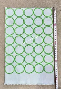 Item thumbnail for item a9e6ed8b-f6d1-463e-a7fb-12052f0e3c1e