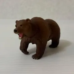 アニア　ヒグマ 熊 クマのサムネイル