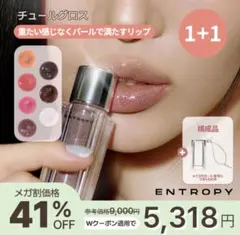【超美品】ENTROPY TULLE GLOSS Tutu