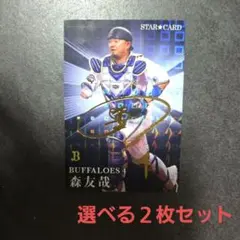 Item thumbnail for item 2693b0ac-d366-4613-be4d-7a2983adcd78