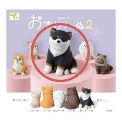 おすわり〜ぬ2 가챠 黒しばいーぬ 1個