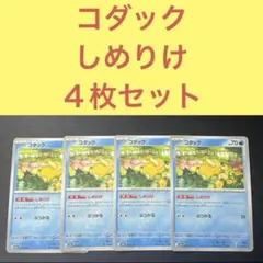 コダック ４枚セット しめりけ ぶつかる